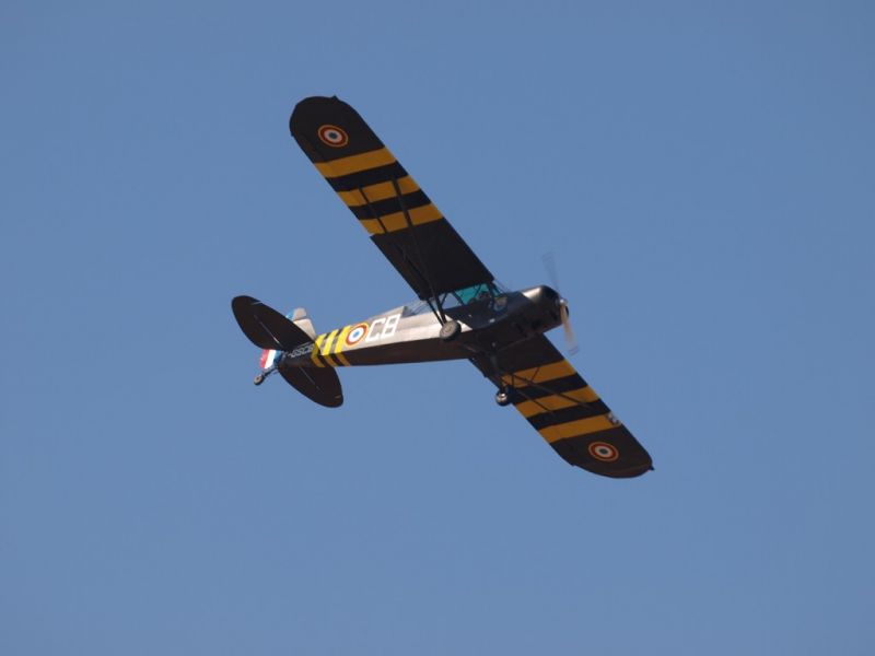 20100807184328_ftpj_4.jpg